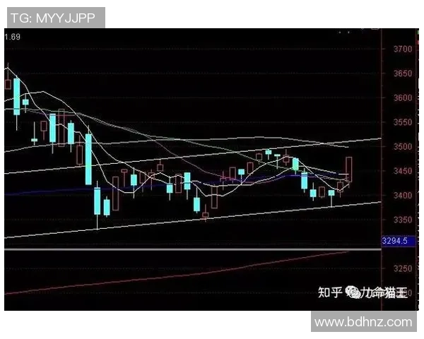 深圳篮球队与重庆篮球队赛后状态分析与复盘总结 深圳篮球队与重庆篮球队赛后状态分析与复盘总结
